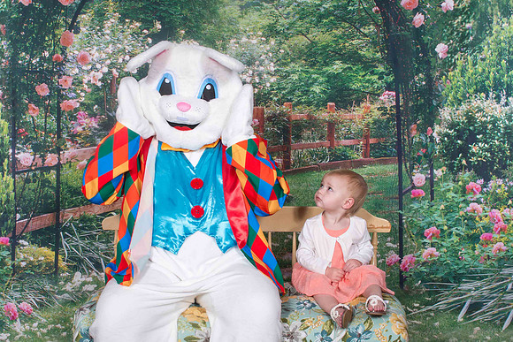 BUNNY-250